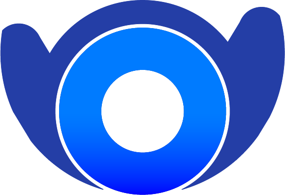 Witslens logo